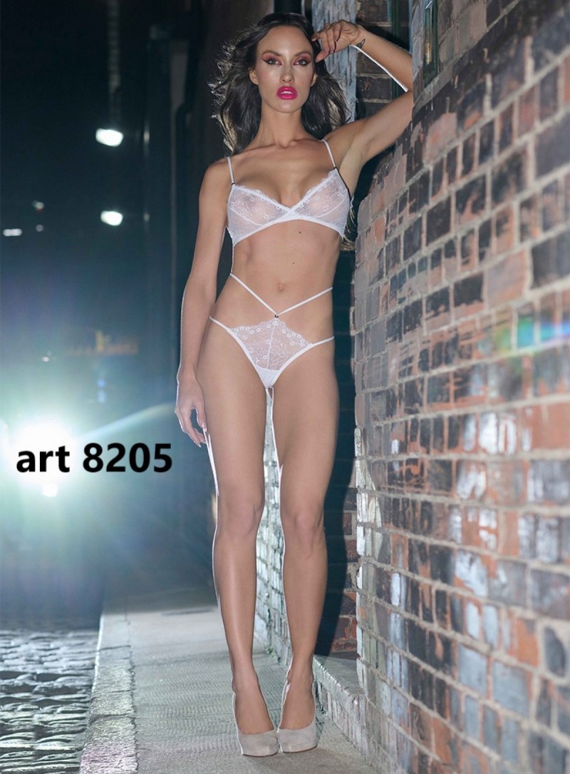 ART 8205