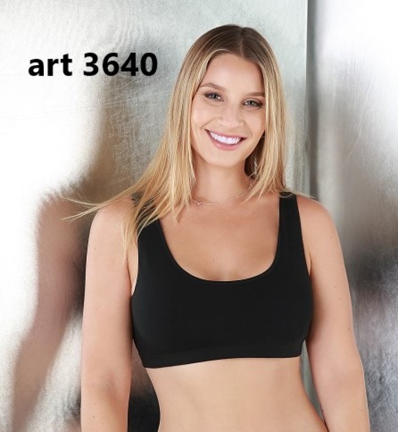 ART 3640