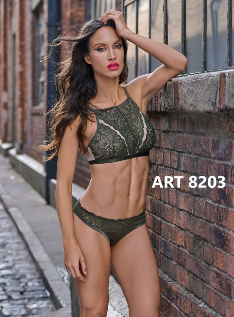 ART 8203