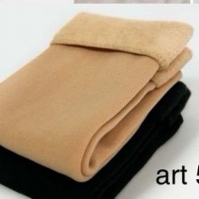 ART 5004