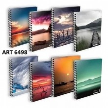 ART 6498