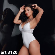 ART 3120