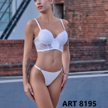 ART 8195