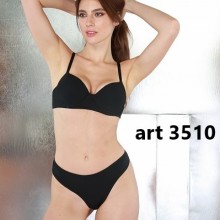 ART 3510