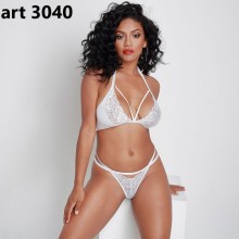 ART 3040